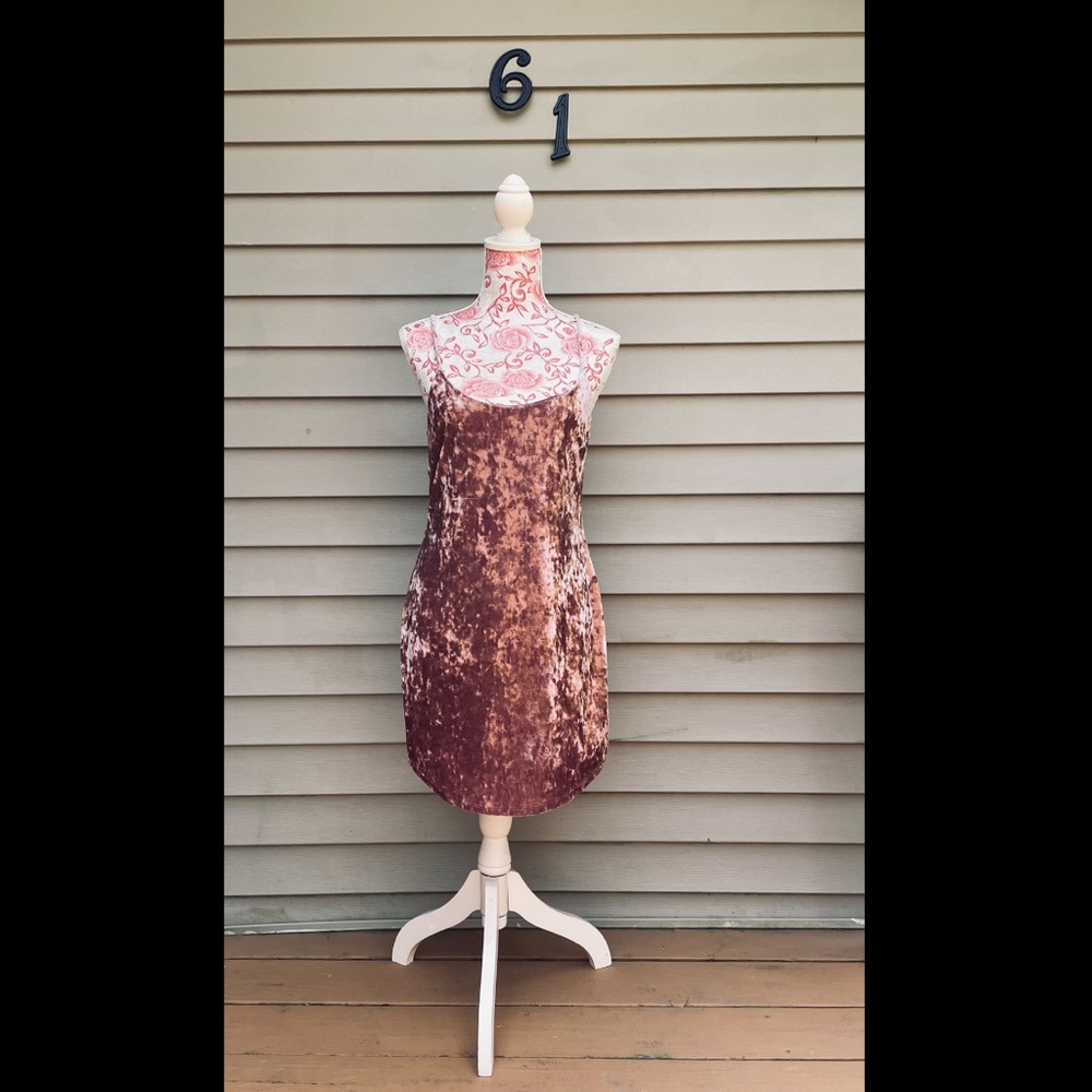 Forever 21 Crushed Velvet Dress (Pink)
